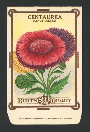 Centaurea Antique Burt's Seed Packet