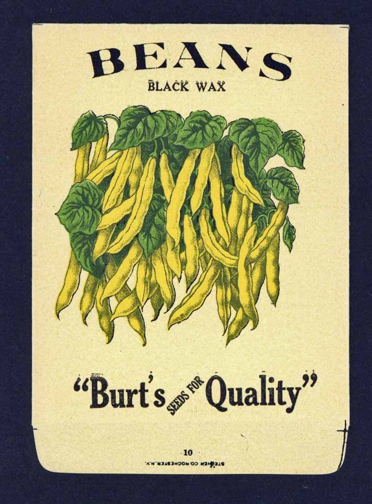 Beans Antique Burt's Seed Packet, Black Wax