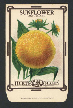 Sunflower Antique Burt's Seed Packet, Best Mixed