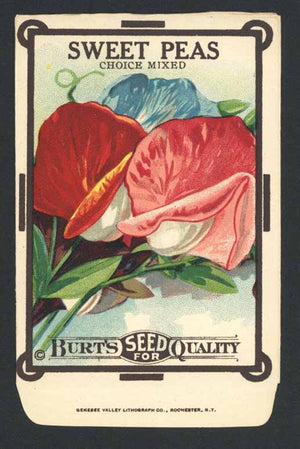 Sweet Peas Antique Burt's Seed Packet
