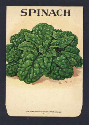 Spinach Antique Genesee Valley Litho. Seed Packet, 138