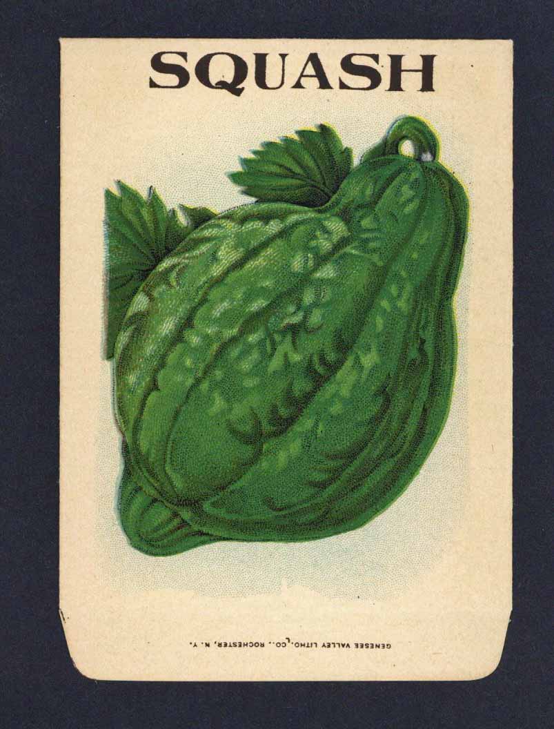 Squash Antique Genesee Valley Litho. Seed Packet, 779
