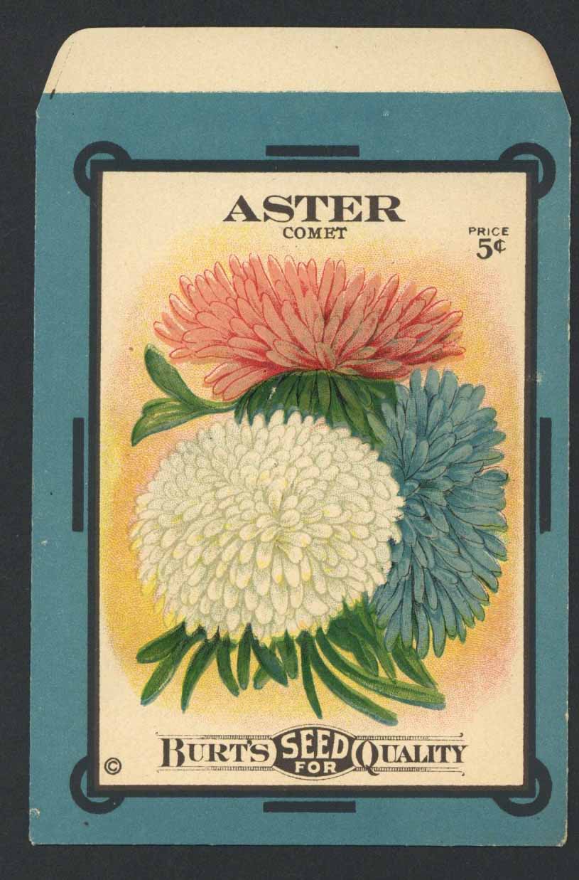 Aster Antique Burt's Seed Packet, L