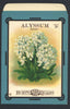 Alyssum Antique Burt's Seed Packet, L
