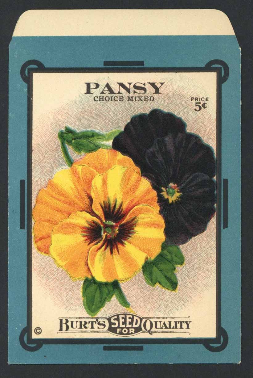 Pansy Antique Burt's Seed Packet, L