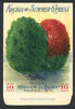 Kochia or Summer Cypress Antique Burt's Seed Packet, L