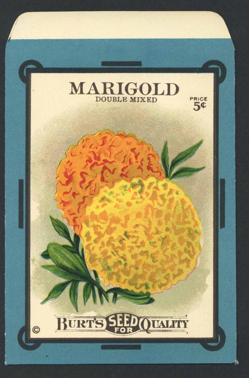 Marigold Antique Burt's Seed Packet, L