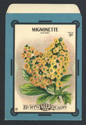 Mignonette Antique Burt's Seed Packet, L