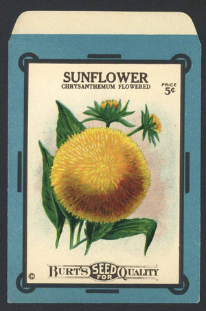 Sunflower Antique Burt's Seed Packet, L
