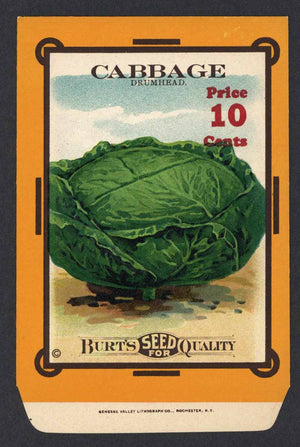 Cabbage Antique Burt's Seed Packet, Drumhead, L