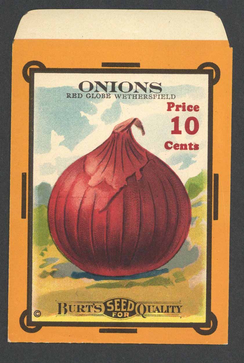 Onions Antique Burt's Seed Packet, Red Globe, L