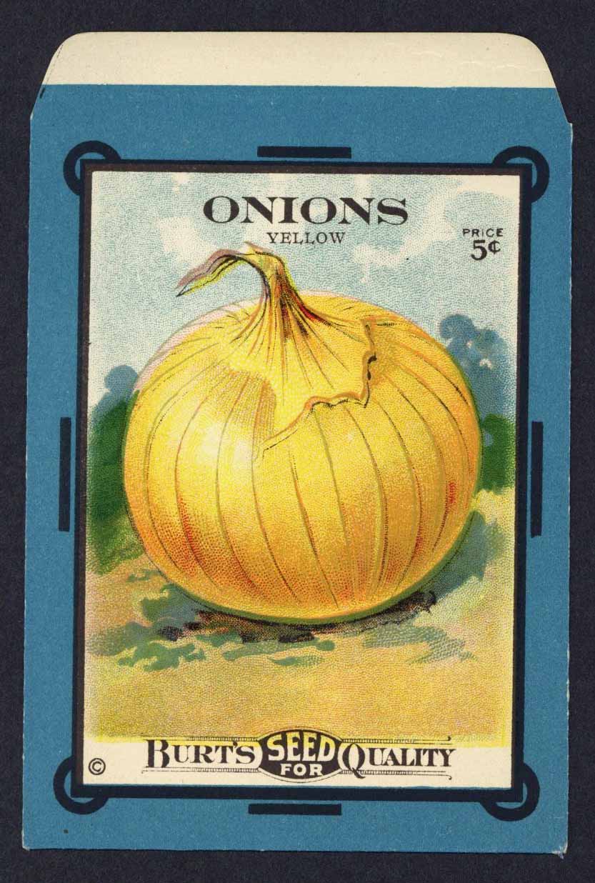 Onions Antique Burt's Seed Packet, Yellow, L