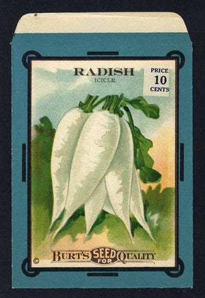 Radish Antique Burt's Seed Packet, Icicle