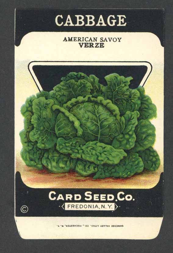 Cabbage Antique Card Seed Co. Packet, American Savoy