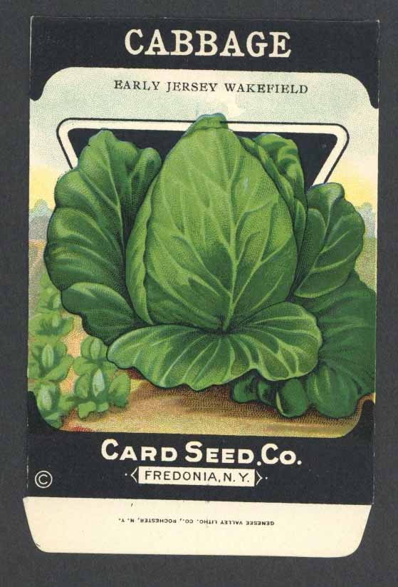Cabbage Antique Card Seed Co. Packet, Jersey Wakefield