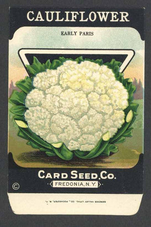 Cauliflower Antique Card Seed Co. Packet, Early Paris
