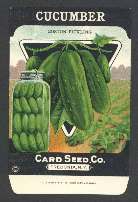 Cucumber Antique Card Seed Co. Packet, Boston Pickling