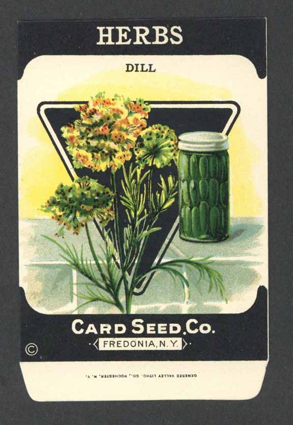 Herbs Antique Card Seed Co. Packet, Dill