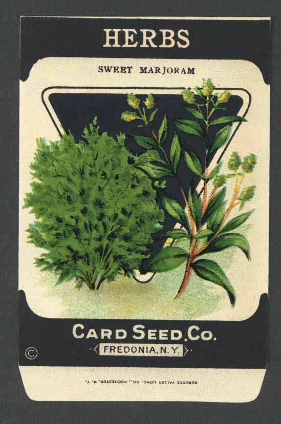 Herbs Antique Card Seed Co. Packet, Sweet Marjoram