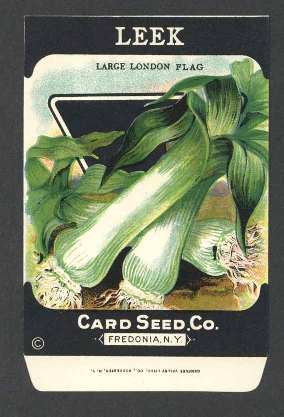Leek Antique Card Seed Co. Packet