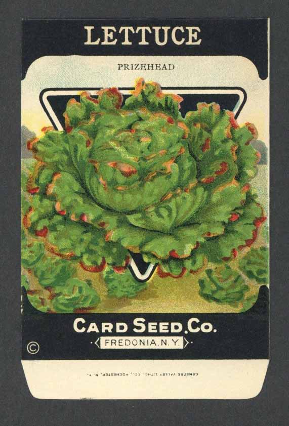 Vintage Seed Packets 1900-1940 – Page 4 – thelabelman