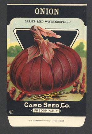 Onion Antique Card Seed Co. Packet, Red Wethersfield