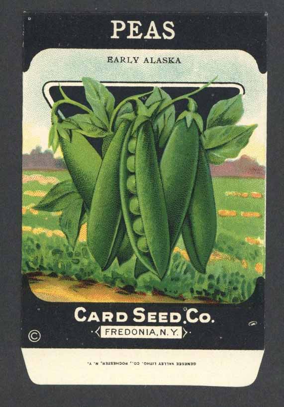 Peas Antique Card Seed Co. Packet, Early Alaska