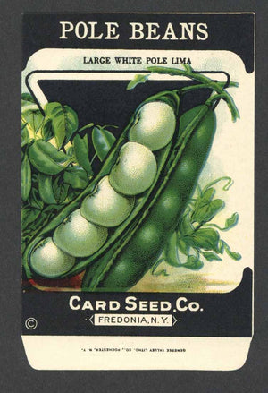 Pole Beans Antique Card Seed Co. Packet, White Pole Lima