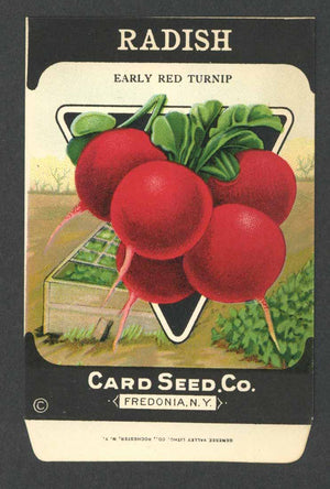 Radish Antique Card Seed Co. Packet, Early Red Turnip
