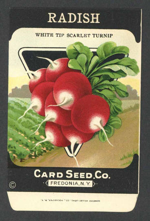 Radish Antique Card Seed Co. Packet, White Tip Scarlet Turnip