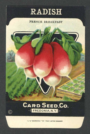 Radish Antique Card Seed Co. Packet, French Breakfast