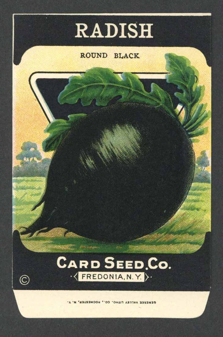 Radish Antique Card Seed Co. Packet, Round Black