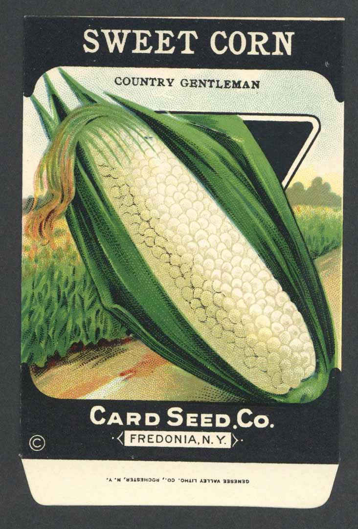 Sweet Corn Antique Card Seed Co. Packet, Country Gentleman
