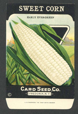 Sweet Corn Antique Card Seed Co. Packet, Early Evergreen