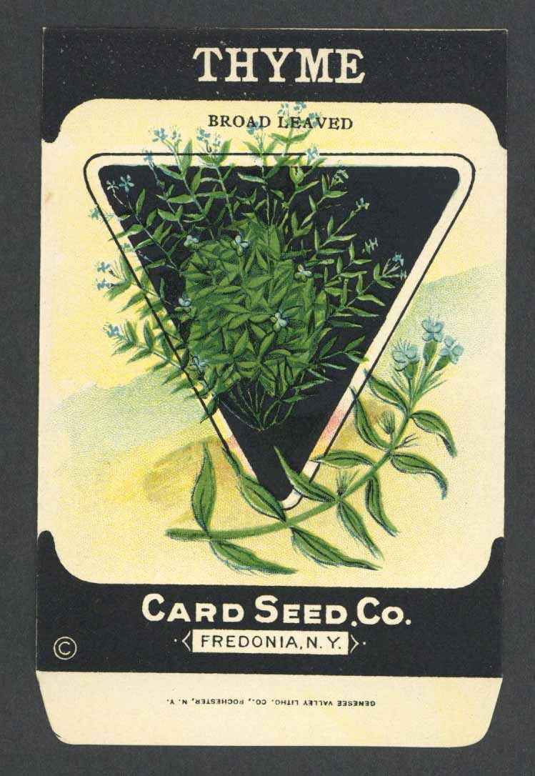 Thyme Antique Card Seed Co. Packet, Broad Leaved