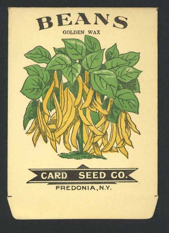 Beans Antique Card Seed Co. Packet, Golden Wax