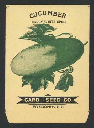 Cucumber Antique Card Seed Co. Packet, White Spine
