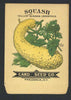 Squash Antique Card Seed Co. Packet, Crookneck