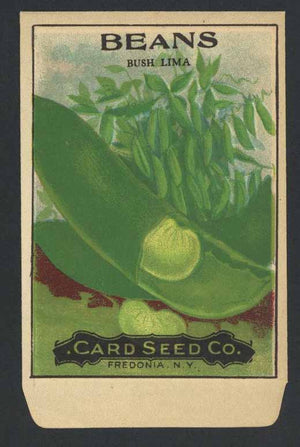 Beans Antique Card Seed Co. Packet, Bush Lima