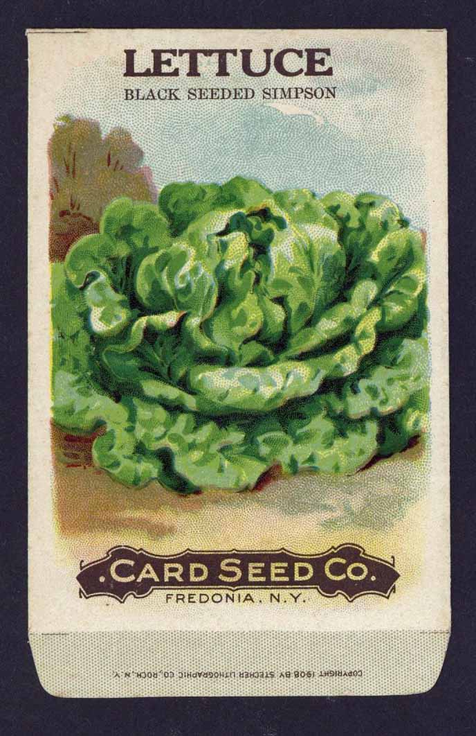 Lettuce Antique Card Seed Co. Packet, Black Seeded Simpson