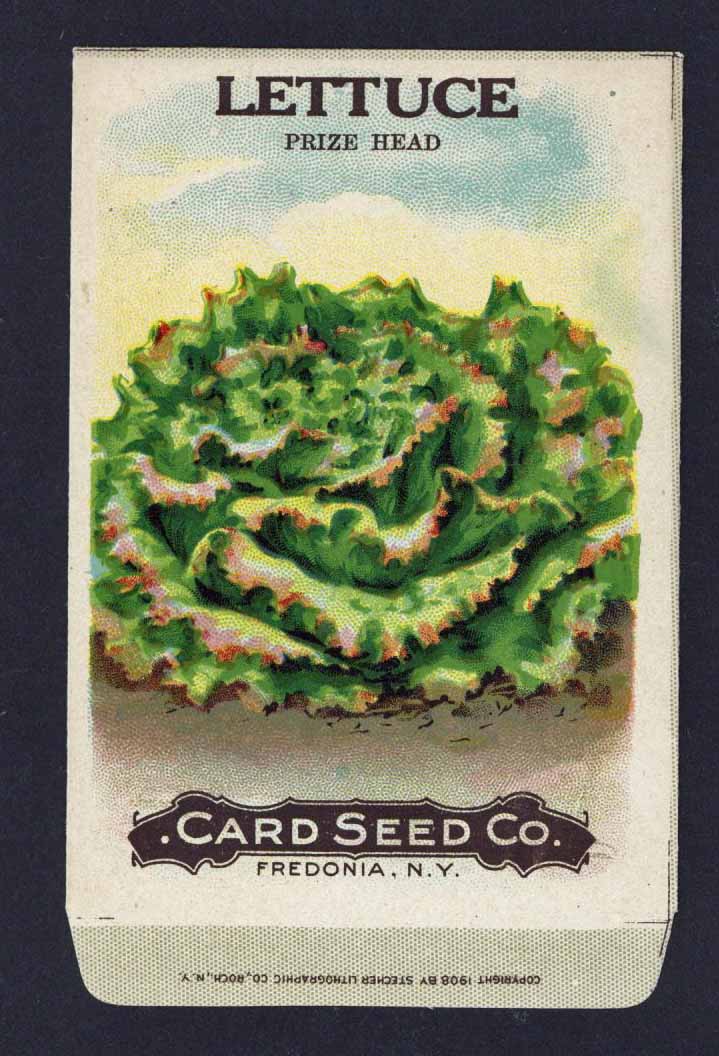 Lettuce Antique Card Seed Co. Packet, Prize Head