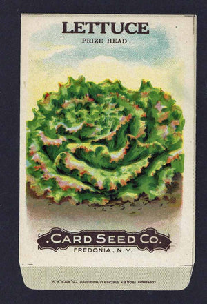 Lettuce Antique Card Seed Co. Packet, Prize Head