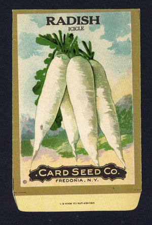 Radish Antique Card Seed Co. Packet, Icicle