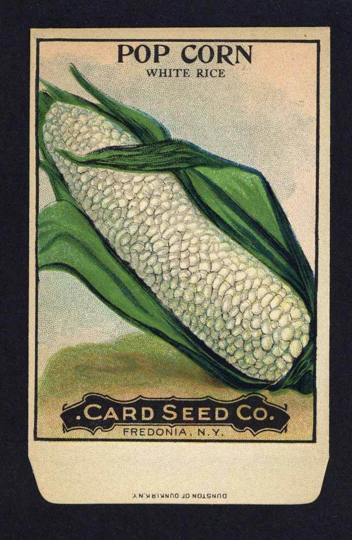 Pop Corn Antique Card Seed Co. Packet, White Rice
