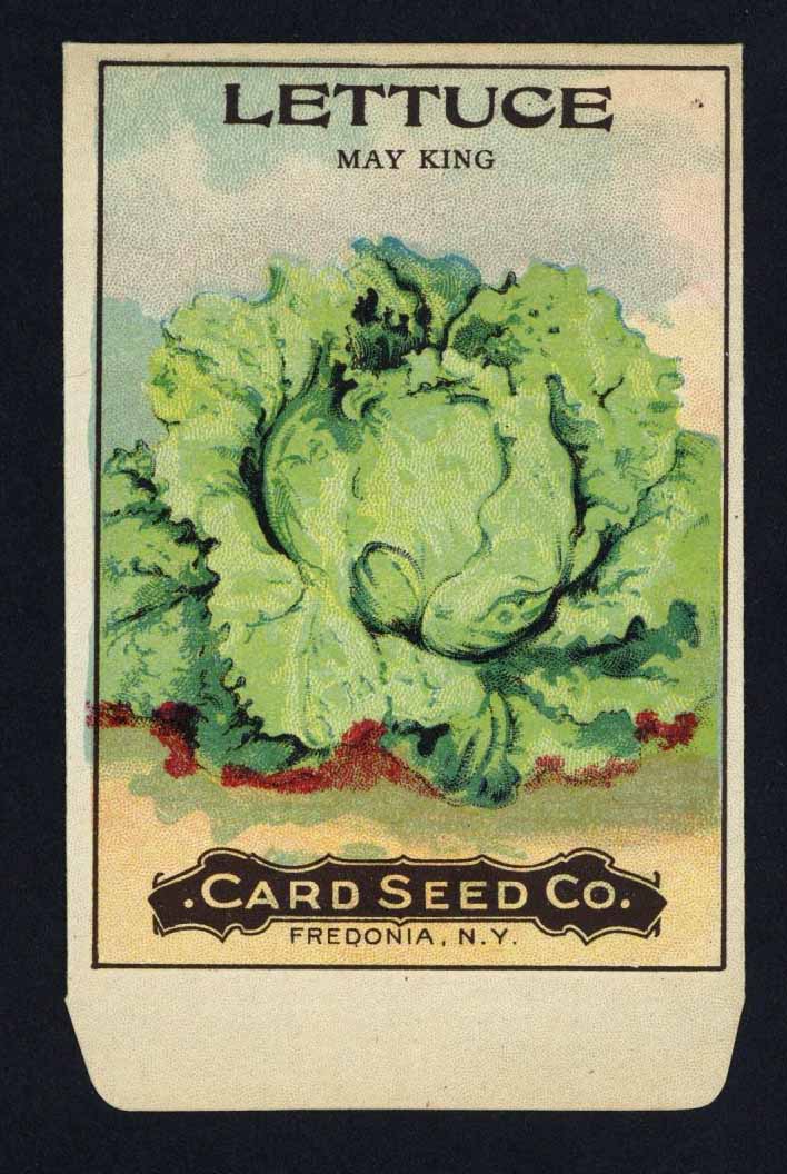 Lettuce Antique Card Seed Co. Packet, May King