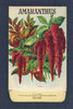 Amaranthus Antique Stock Seed Packet