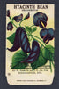 Hyacinth Bean Antique Everitt's Seed Packet