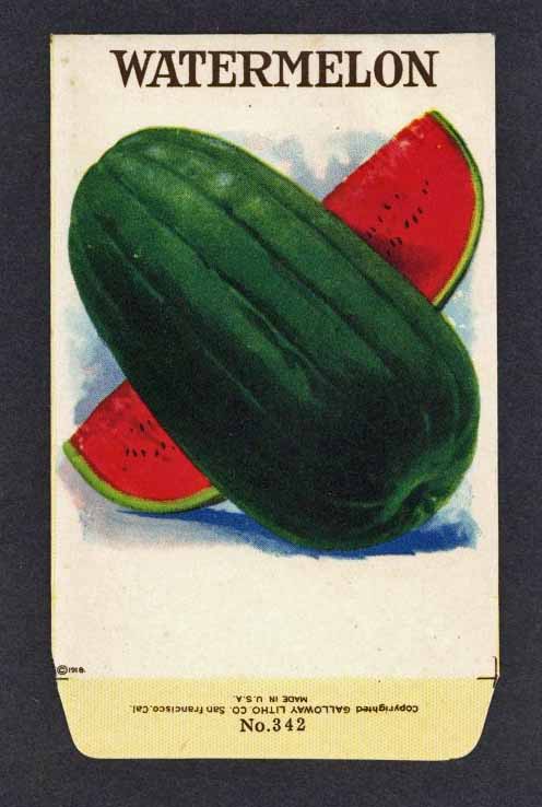 Watermelon Antique Stock Seed Packet