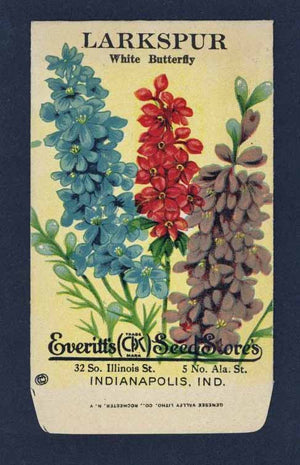 Larkspur Antique Everitt's Seed Packet, White Butterfly