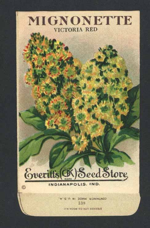 Mignonette Antique Everitt's Seed Packet